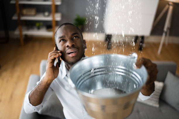 Best 24-hour water damage restoration  in Holland, MI