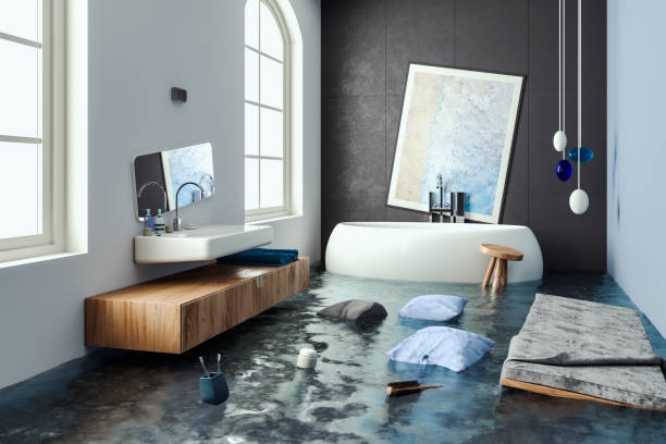 Best Carpet water damage restoration  in Holland, MI