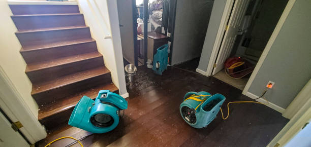 Best Professional water damage repair  in Holland, MI