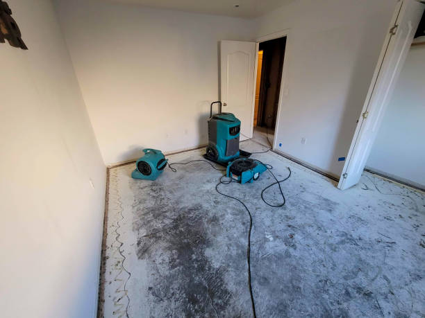 Best Mold removal after water damage  in Holland, MI