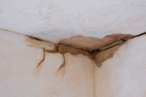 Best Commercial water damage restoration  in Holland, MI