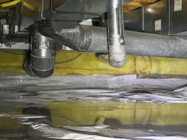 Best Water damage cleanup near me  in Holland, MI