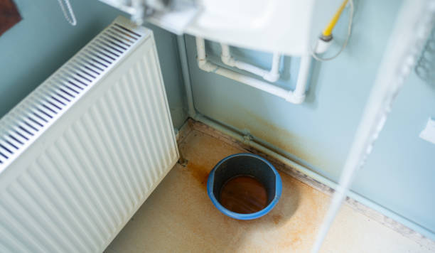 Best Residential water damage restoration  in Holland, MI
